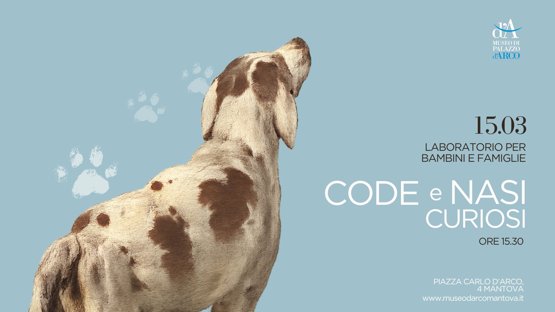 code e nasi curiosi