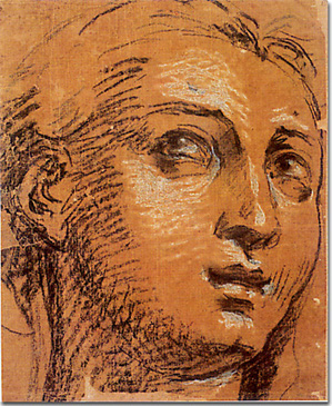 Testa femminile G. Cavedone attr. Sec. XVI