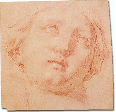 Testa di donna F. Gessi