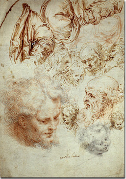 Teste e panneggi A. Luini Sec. XVI