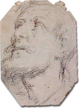 Testa virile Artista Veneto