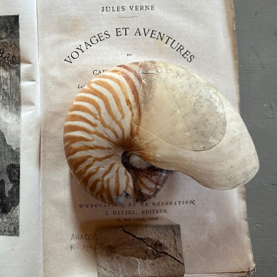 A bordo del Nautilus